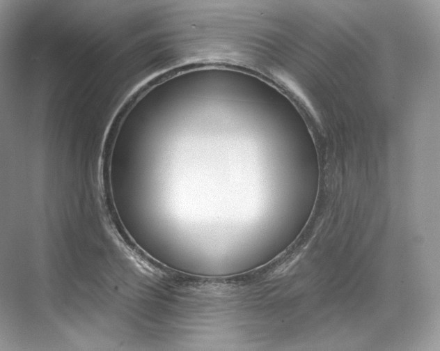 X0000073900932200608110932