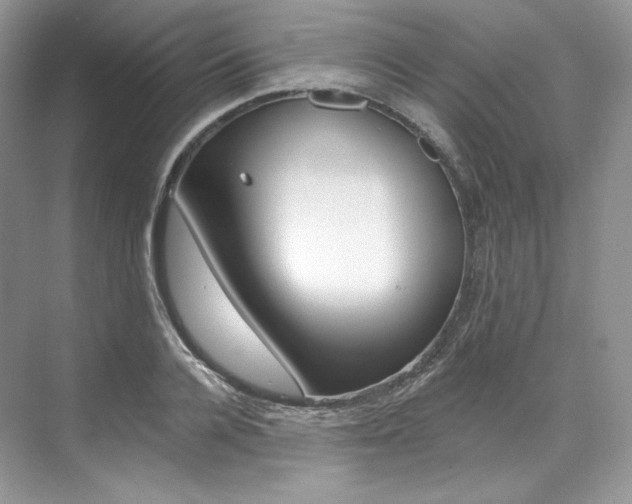 X0000073900936200608110932