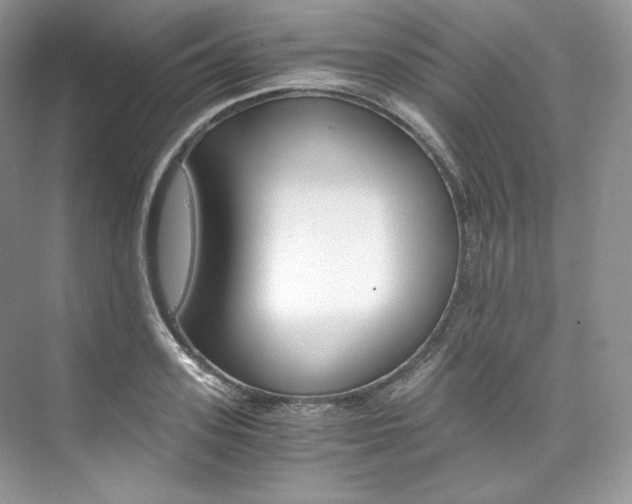 X0000073900939200608110932
