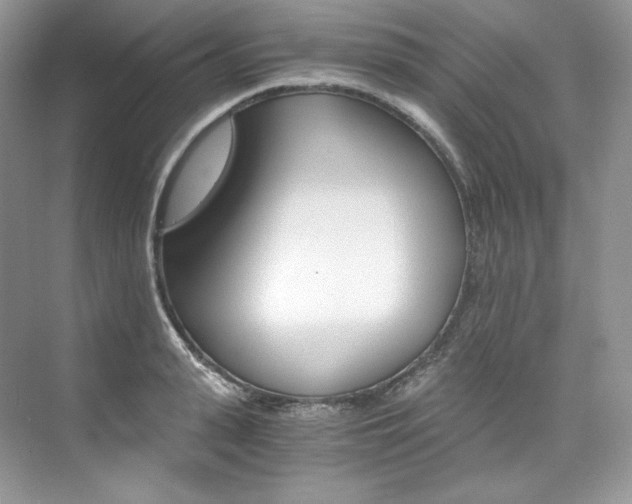 X0000073900943200608110932