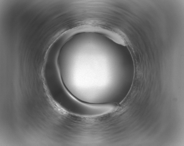 X0000073900946200608110932