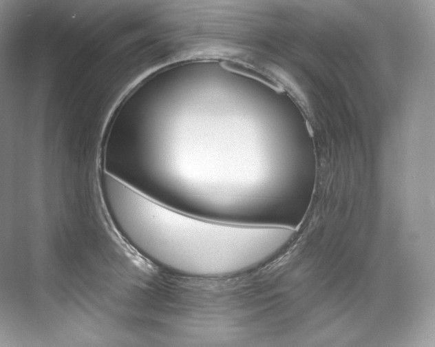 X0000073900948200608110932