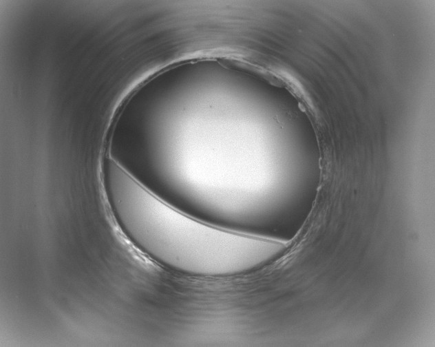 X0000073900952200608110932