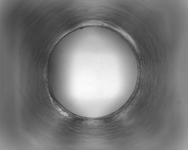 X0000073900953200608110932