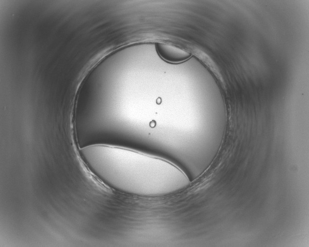 X0000073900954200608110932