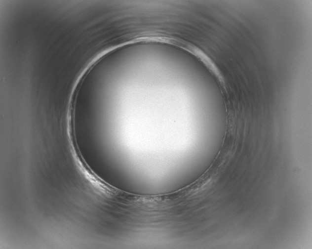 X0000073900955200608110932