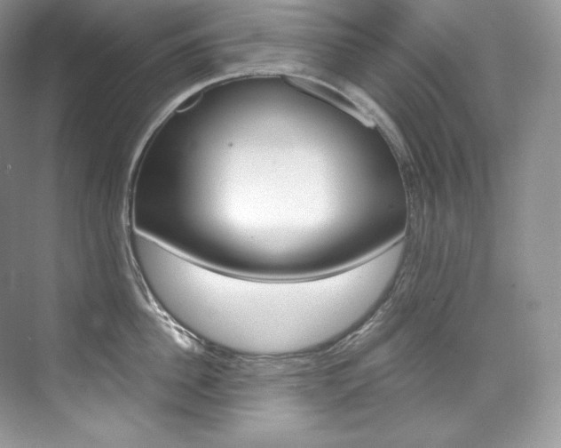 X0000073900956200608110932