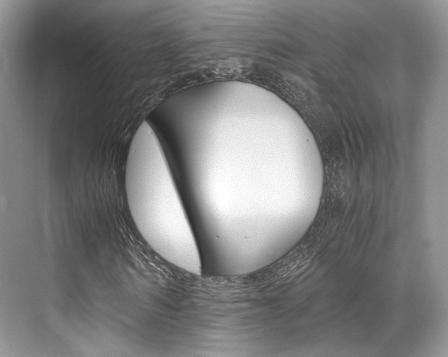 X0000073900962200608110931
