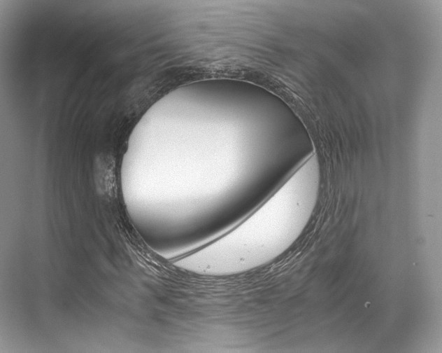 X0000073900963200608110931