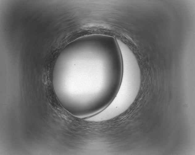 X0000073900965200608110931