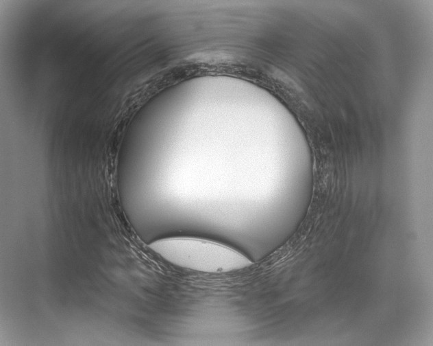 X0000073900966200608110931