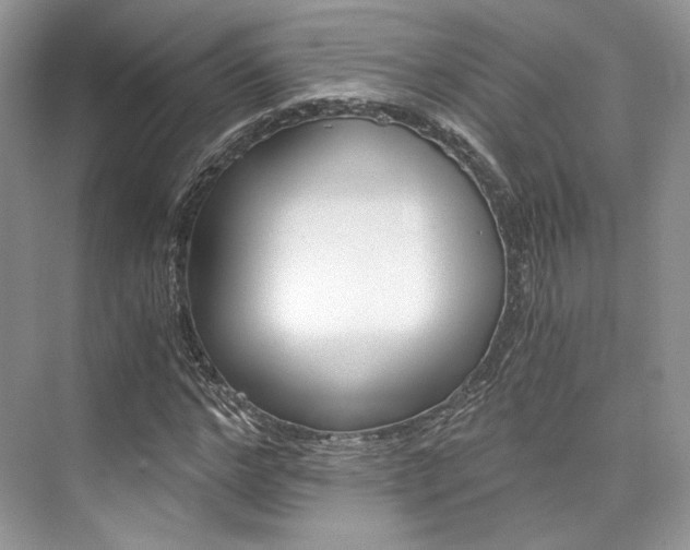 X0000073900968200608110931