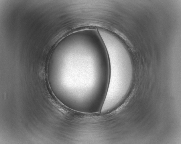 X0000073900977200608110931