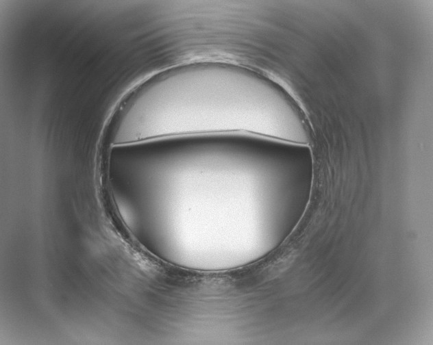 X0000073900979200608110931