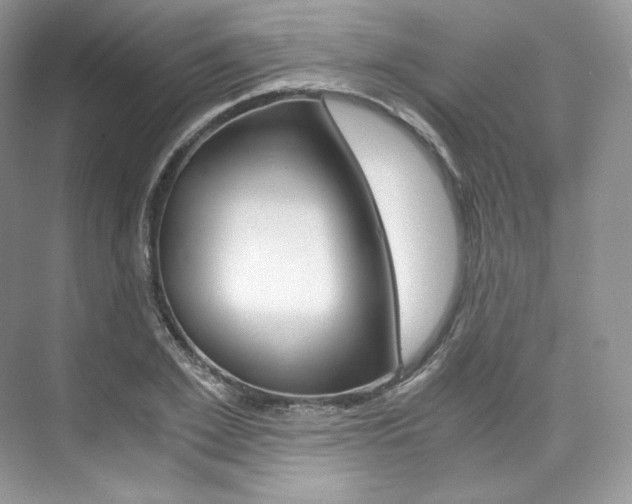 X0000073900981200608110931