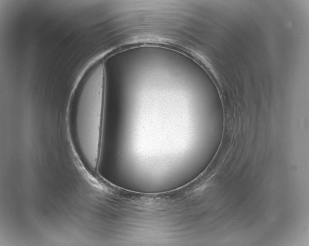X0000073900987200608110931