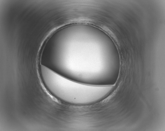 X0000073900989200608110931