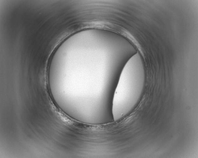 X0000073900994200608110931