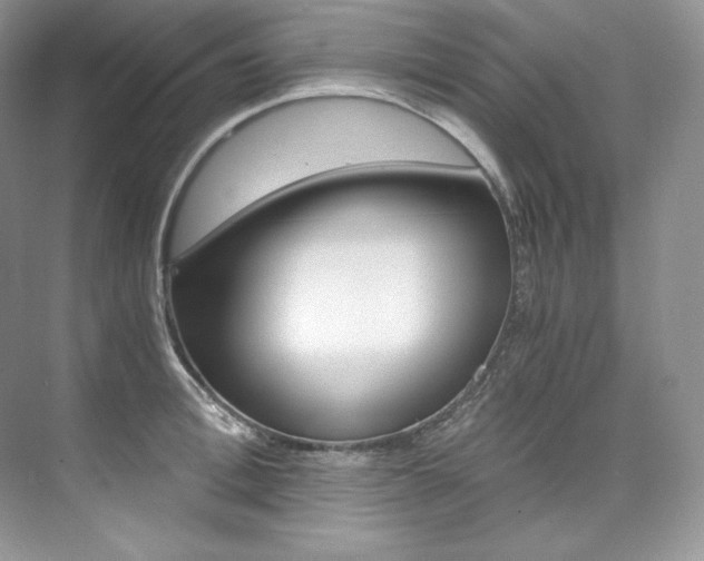X0000073900996200608110931