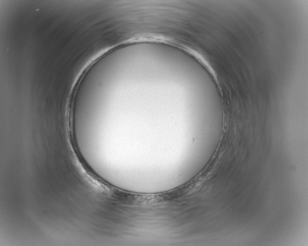 X0000073901003200608110931
