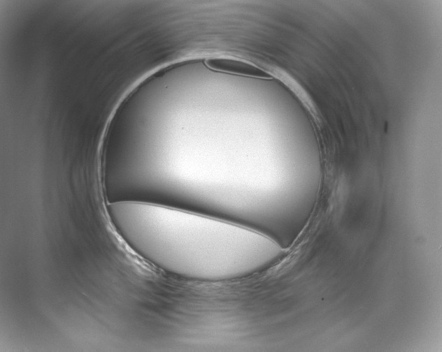 X0000073901004200608110931