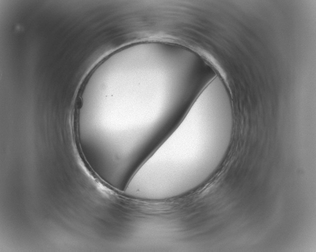 X0000073901007200608110931
