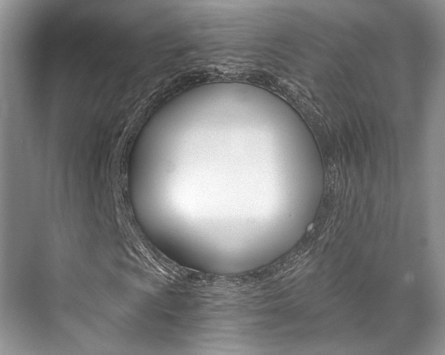 X0000073901009200608110930