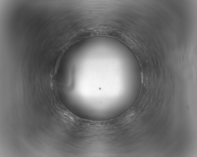 X0000073901010200608110930