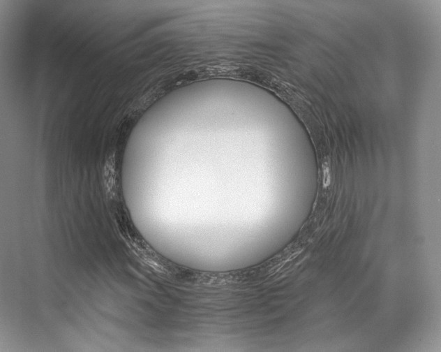 X0000073901011200608110930
