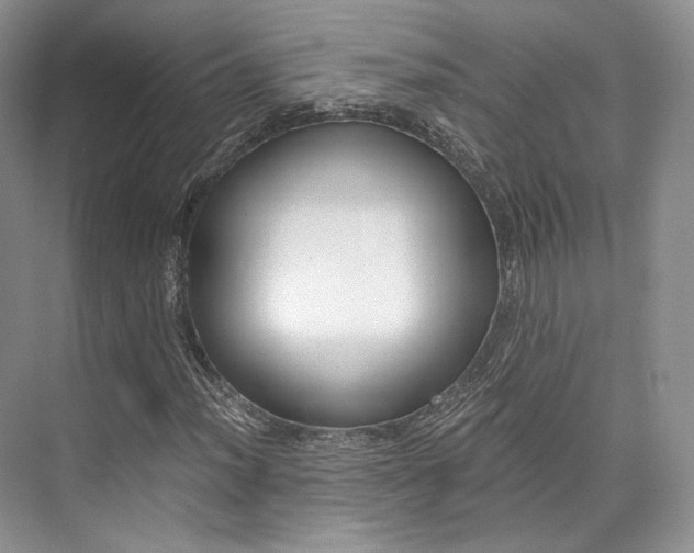 X0000073901012200608110930