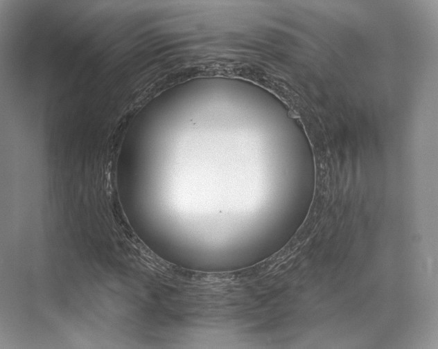 X0000073901013200608110930
