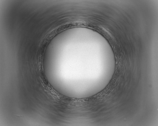 X0000073901015200608110930