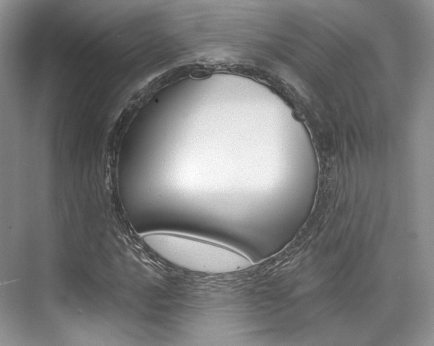X0000073901016200608110930