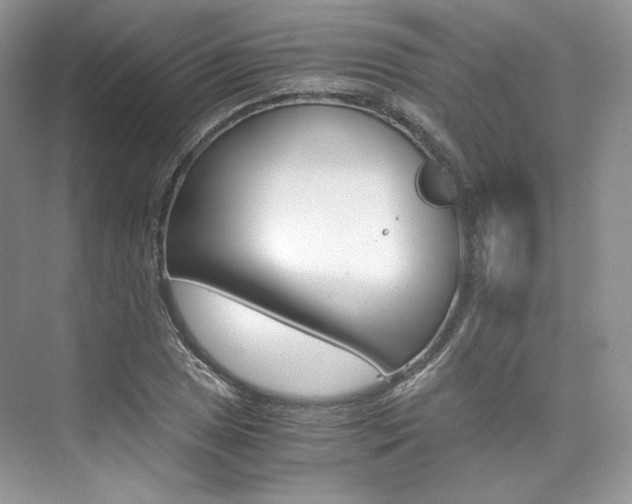 X0000073901025200608110930