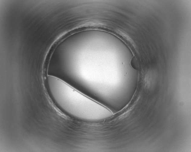 X0000073901029200608110930