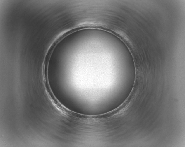 X0000073901030200608110930