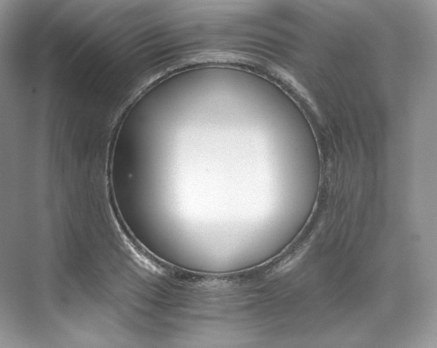 X0000073901033200608110930