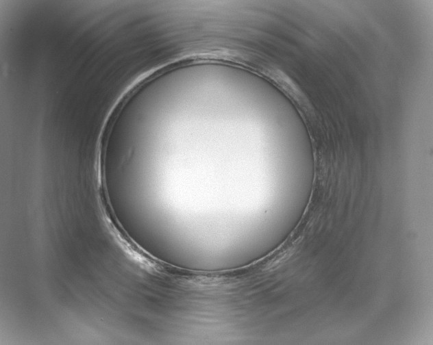 X0000073901036200608110930