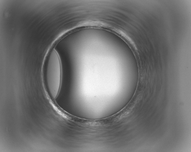 X0000073901037200608110930