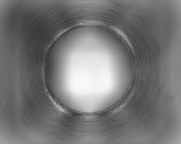 X0000073901041200608110930