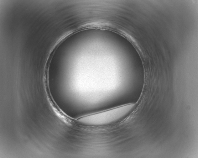 X0000073901042200608110930