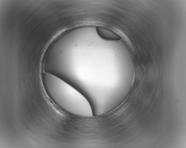 X0000073901043200608110930