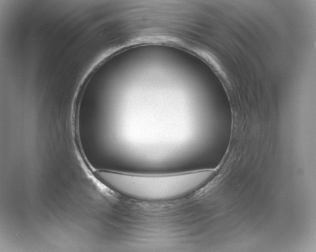X0000073901046200608110930