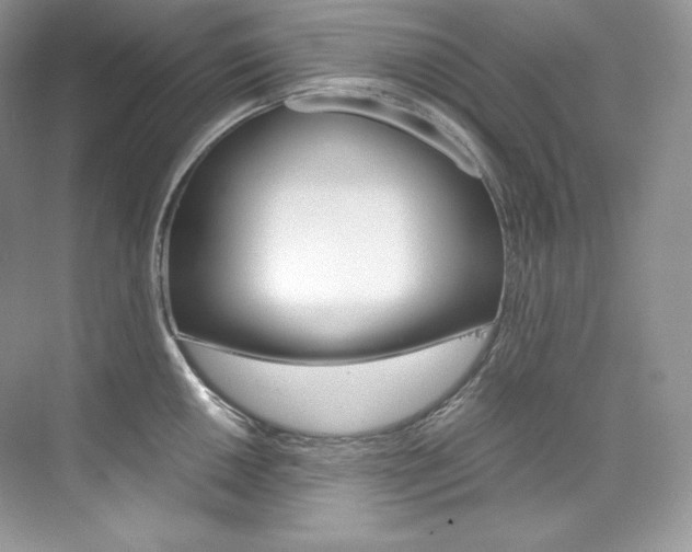X0000073901050200608110930