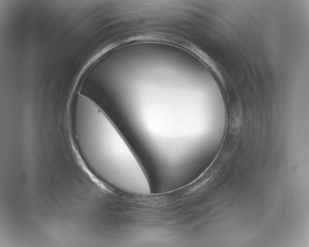X0000073901053200608110930