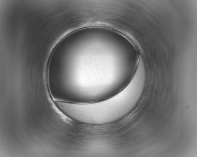 X0000073901054200608110930