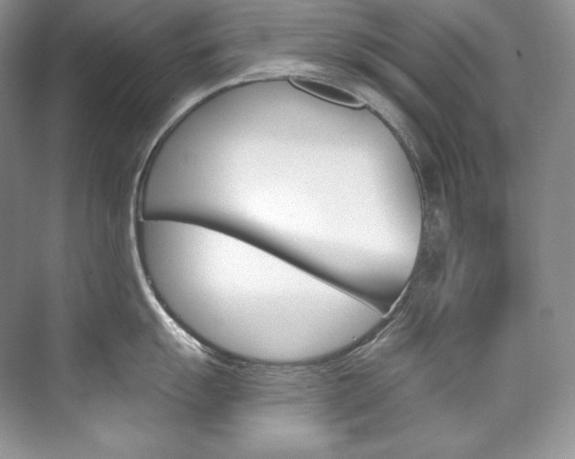X0000073901055200608110931