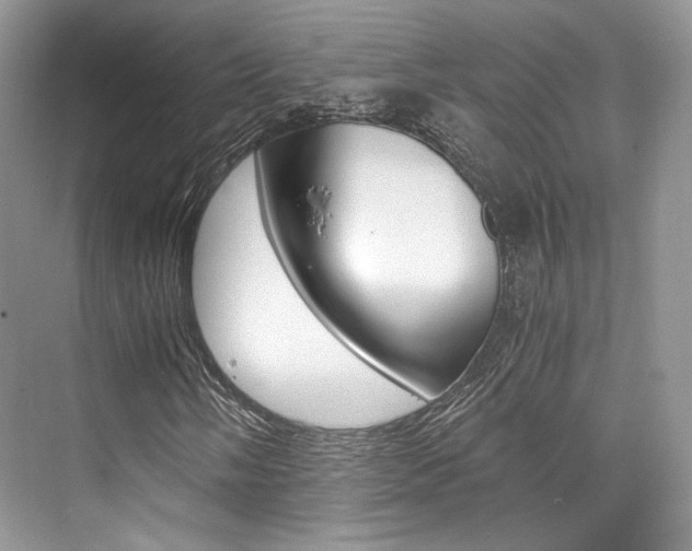 X0000073901058200608110930