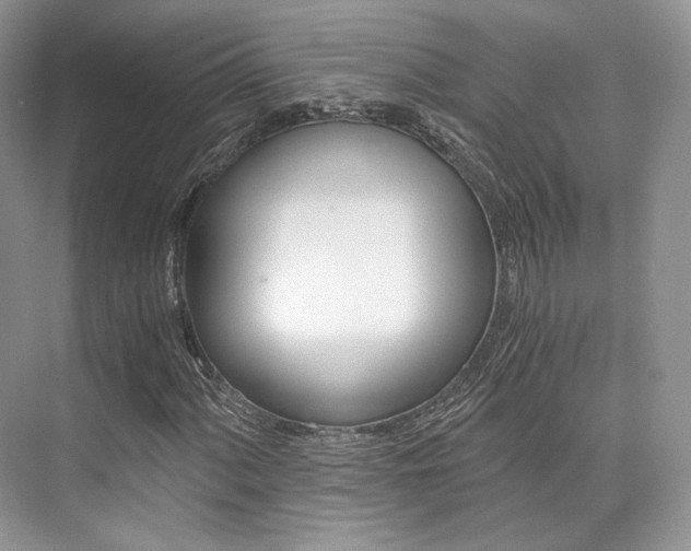 X0000073901060200608110930