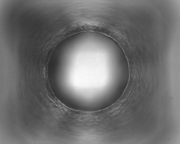 X0000073901061200608110930